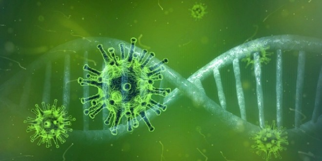 coronavirus.jpg