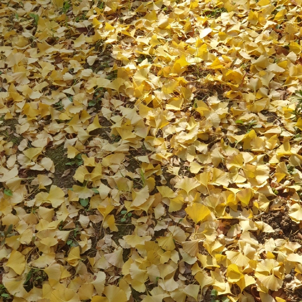 [크기변환]KakaoTalk_20200310_141757799 - 복사본.jpg
