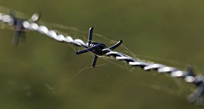 barbed-wire-1785533_960_720.jpg