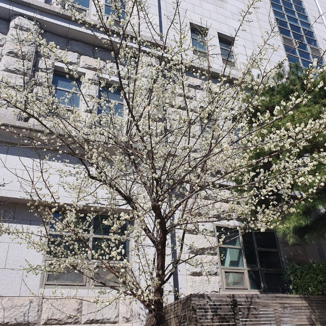 KakaoTalk_20200416_161214839_01.jpg