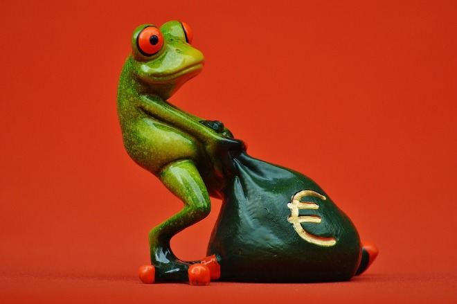 frog-1250491_960_720.jpg