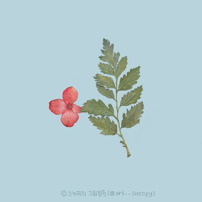 KakaoTalk_20200422_222403042가로축 변환E[포맷변환]_선명도.jpg