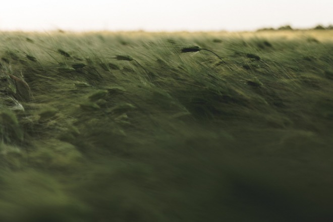[꾸미기]stanislav-kondratiev-MqkwG8aKpg8-unsplash.jpg