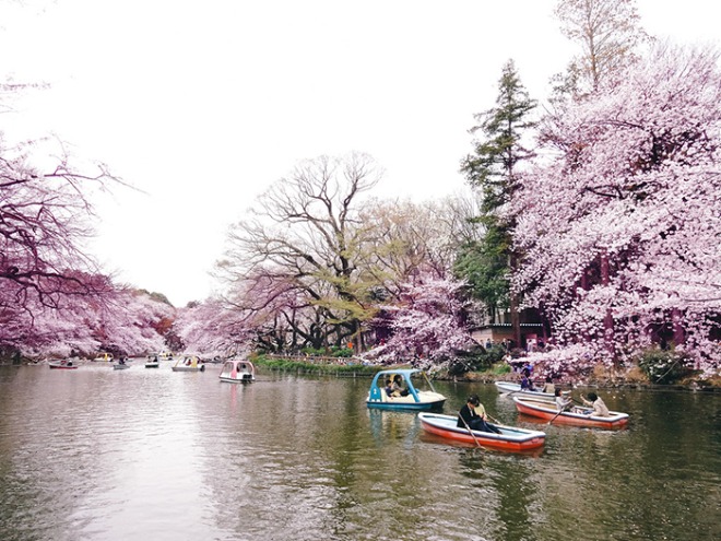 park.jpg
