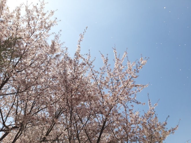 KakaoTalk_20200502_181419288.jpg