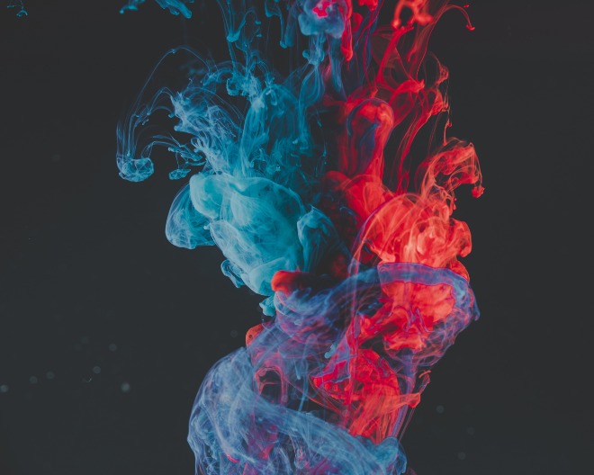 lucas-benjamin-wq1BodC0TS8-unsplash.jpg