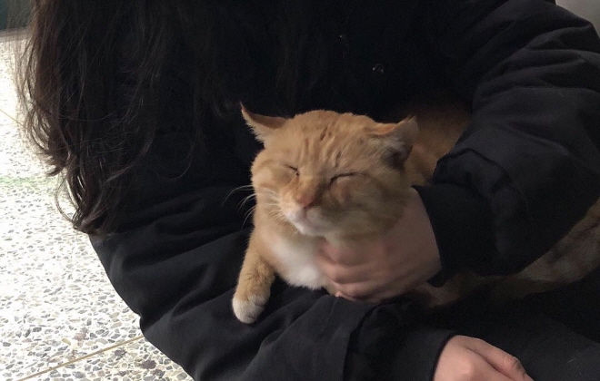 [크기변환]예동이2.jpg