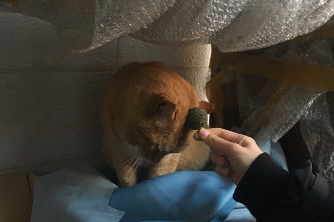 [크기변환]예동이3.jpg