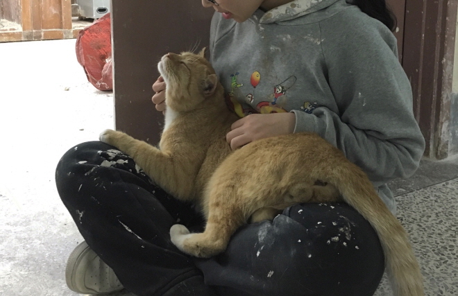 [크기변환]예동이4.jpg
