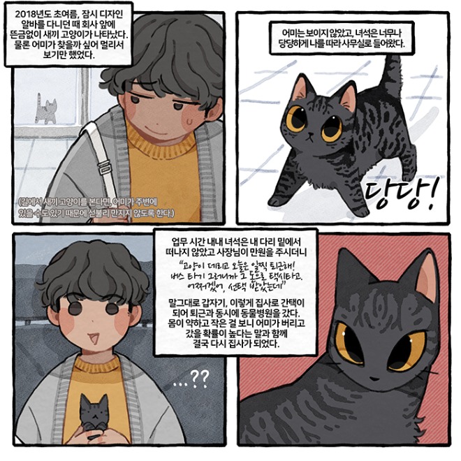 02.jpg