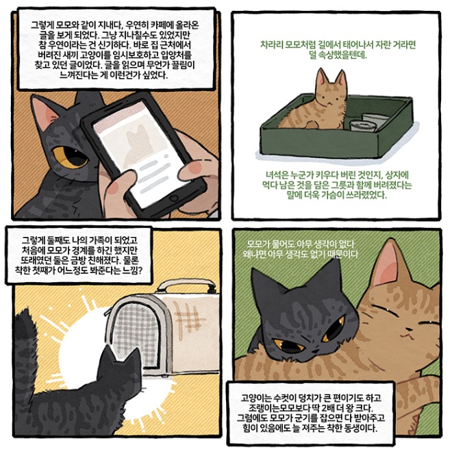 03.jpg