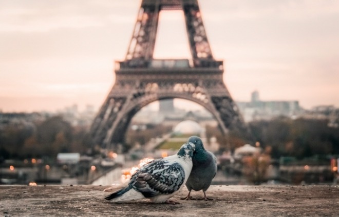 [크기변환]fabrizio-verrecchia-bQxGg8Vx1Vc-unsplash.jpg