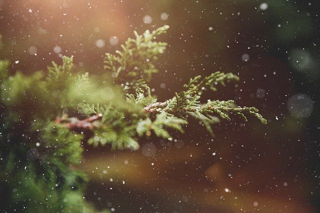 winter-1791370_640.jpg