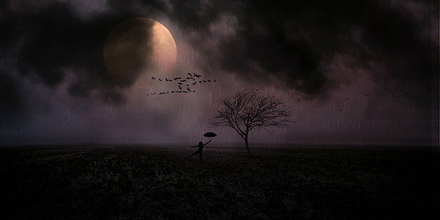 moonlight-3061068_640.jpg