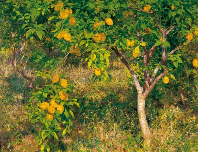 The_Lemon_Tree__.jpg