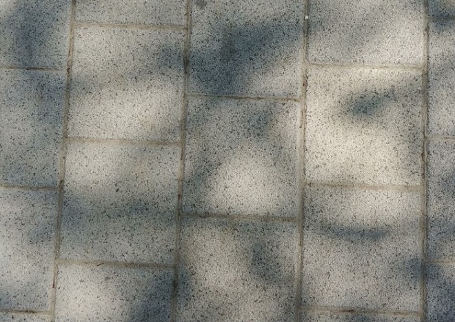 KakaoTalk_20200531_184523928.jpg