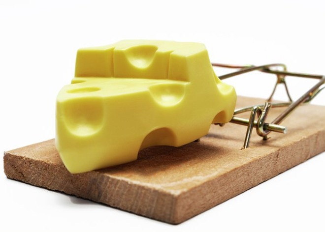 Piece of cheese in trap.jpg