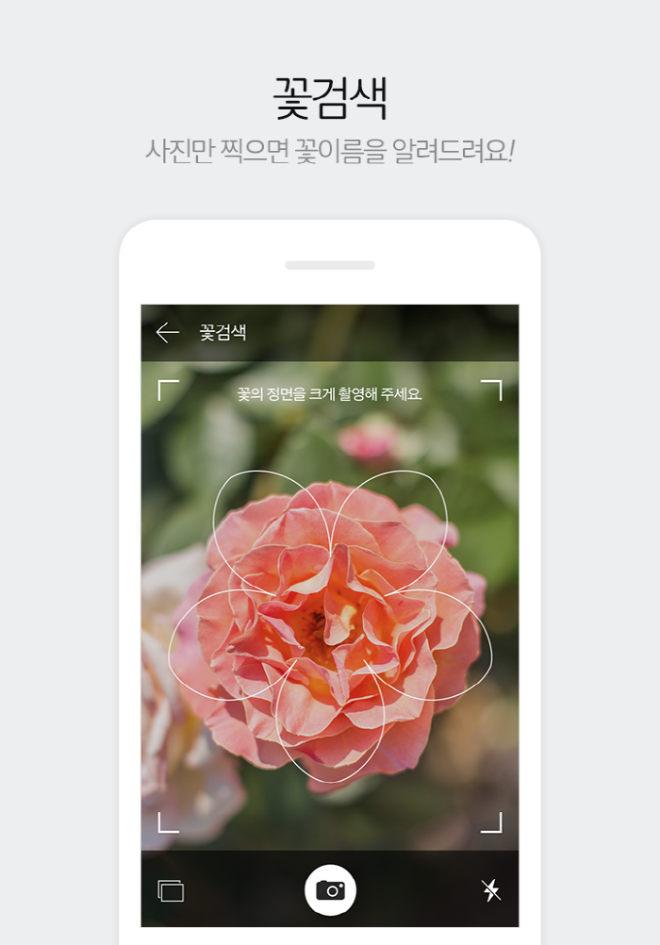 [크기변환]다음꽃검색.png