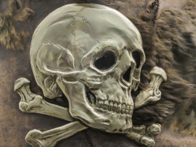 skull-208586_1920.jpg