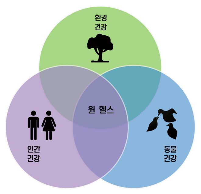 1024px-One-Health-Triad-ko.png