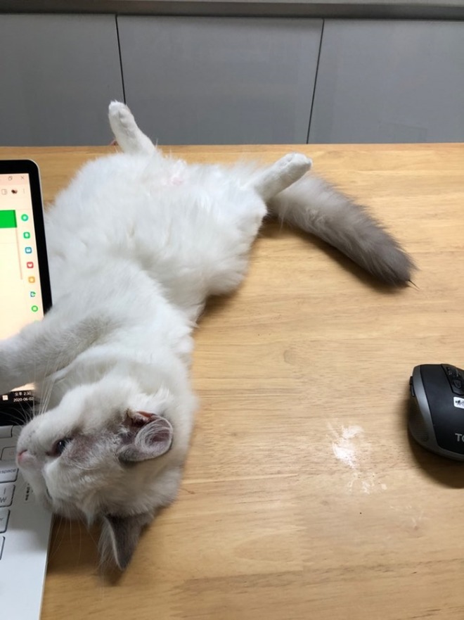 링컨이1.jpg