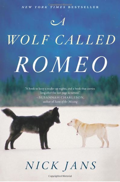 cover.JPG
