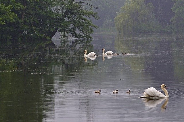 lake-5291417_640.jpg