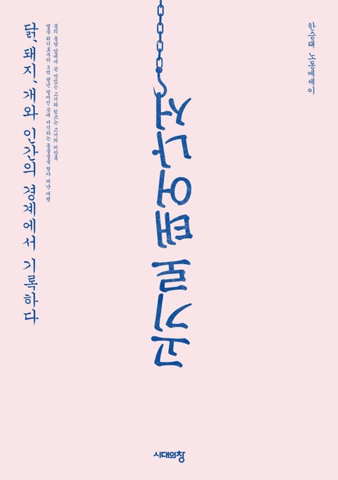131.jpg