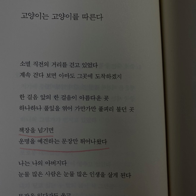 KakaoTalk_20200724_131449678.jpg