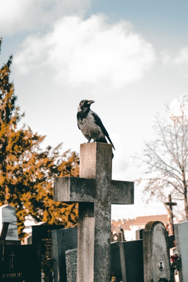 [크기변환]matthias-mullner-aCulDYnDe9o-unsplash.jpg
