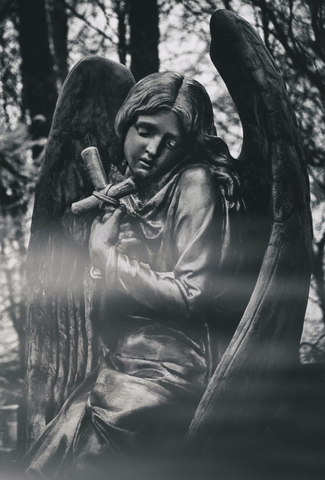 [크기변환]julia-kadel-EuYT0oyoe4I-unsplash.jpg