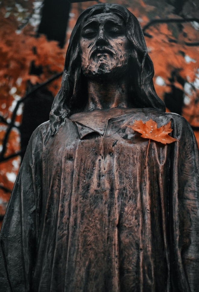 [크기변환]julia-kadel-L-SFeAEvvSg-unsplash.jpg