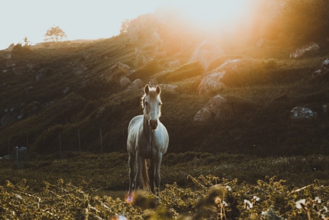 [크기변환]tiago-almeida-mIGg4JrsCAc-unsplash.jpg