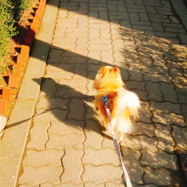 [크기변환]KakaoTalk_20200906_145018588.jpg