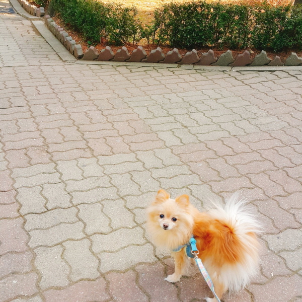 [크기변환]KakaoTalk_20200907_012701170.jpg