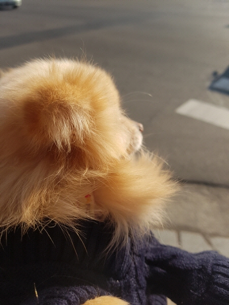 [회전][크기변환]KakaoTalk_20200907_012938503.jpg