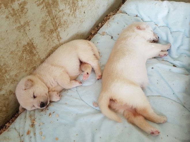 [크기변환][포맷변환]KakaoTalk_20200928_110119313_01.jpg