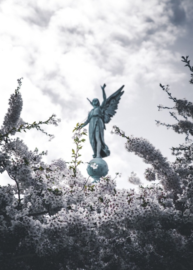 [크기변환]kasper-rasmussen-9cl0CpxyYnY-unsplash.jpg