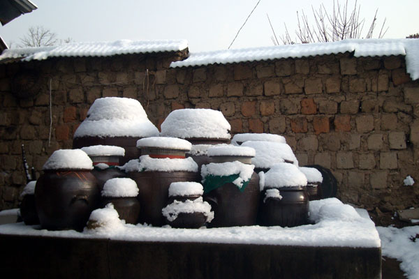 131.jpg