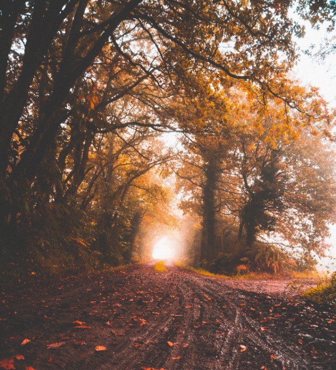 자르기][크기변환]quentin-zwzeorQPepo-unsplash.jpg