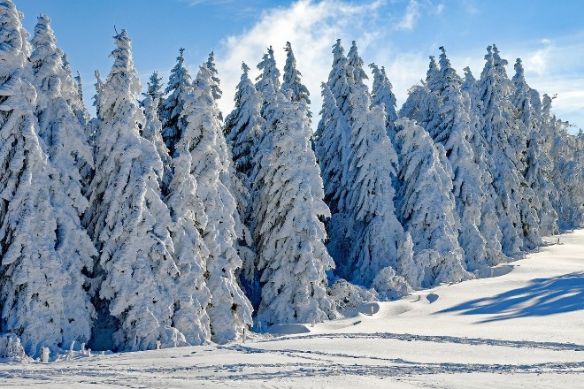 wintry-2993370_1280.jpg