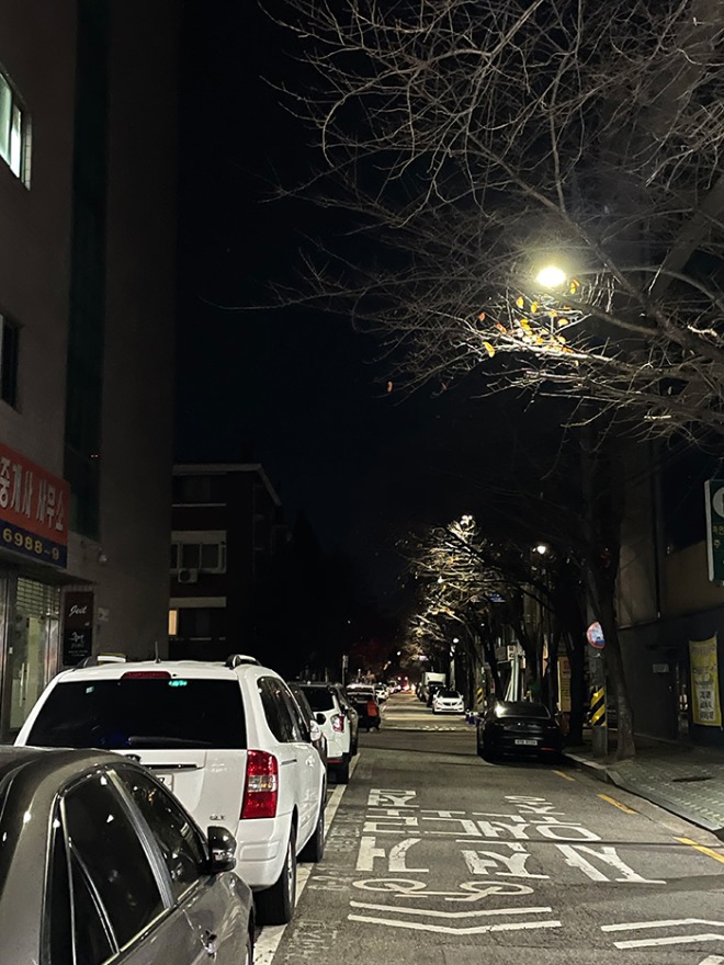 산책8.jpg