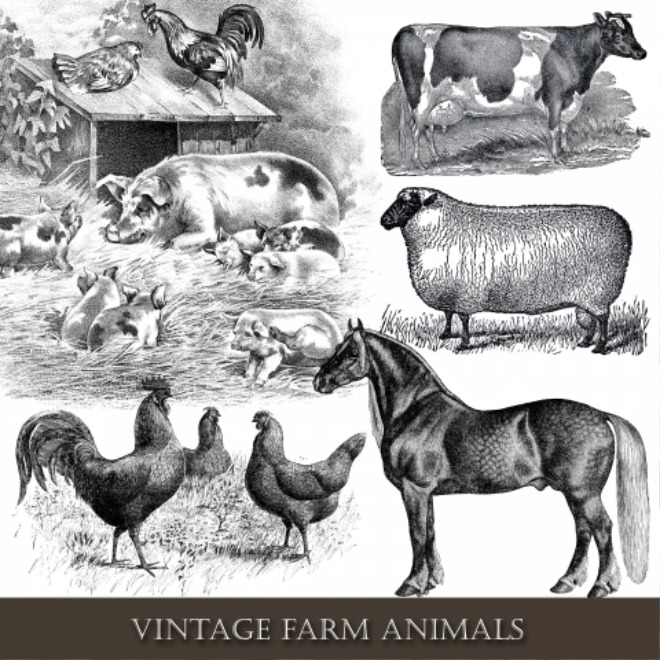 farm-animals-vintage-clipart.jpg