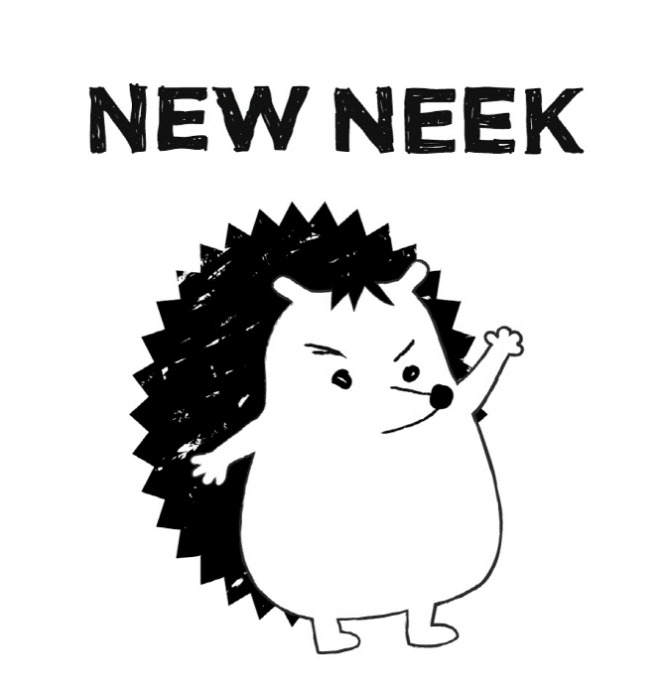 뉴닉.jpg