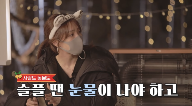 [크기변환]크리스마스 리턴즈.PNG
