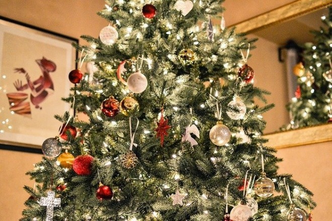 christmas-tree-1081981_640.jpg