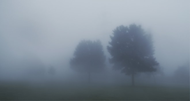 baume-nebel-landschaft-traurig.jpg