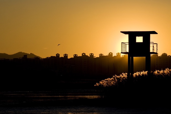 sunset-3210646_960_720.jpg