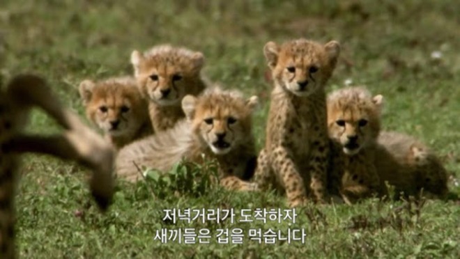 [크기변환]unnamed.jpg