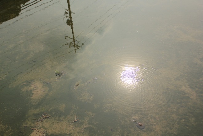 [크기변환]오지윤_반사.jpeg